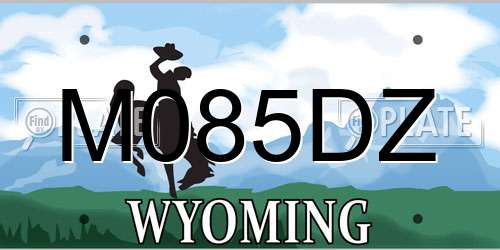 M085DZ Wyoming License Plate