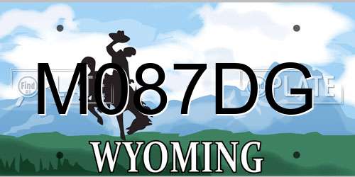 M087DG Wyoming License Plate