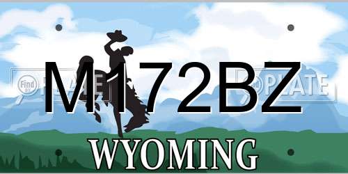 M172BZ Wyoming License Plate