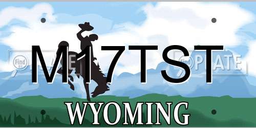 M17TST Wyoming License Plate