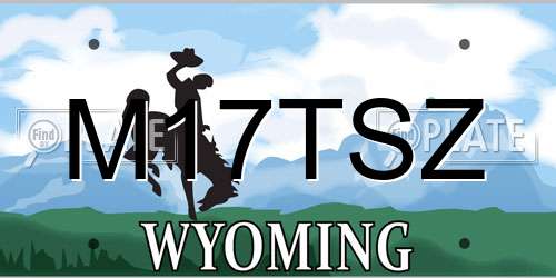 M17TSZ Wyoming License Plate
