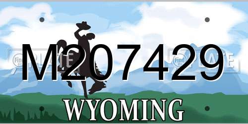 M207429 Wyoming License Plate