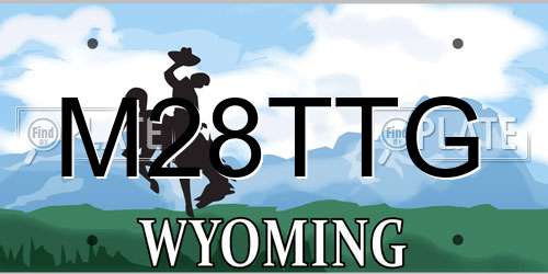 M28TTG Wyoming License Plate