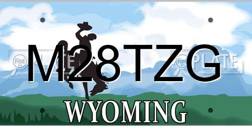 M28TZG Wyoming License Plate