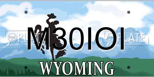 M30IOI Wyoming License Plate