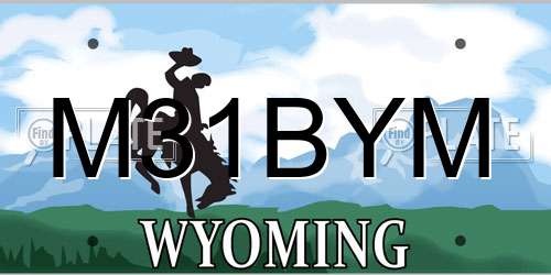M31BYM Wyoming License Plate