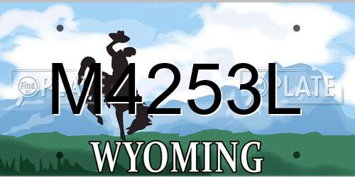 M4253L Wyoming License Plate