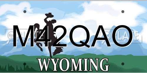 M42QAO Wyoming License Plate