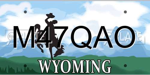 M47QAO Wyoming License Plate