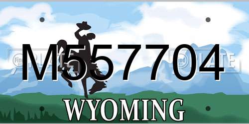 M557704 Wyoming License Plate