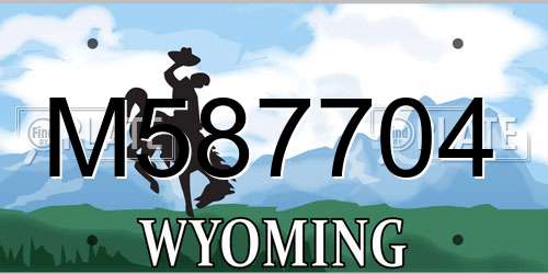 M587704 Wyoming License Plate
