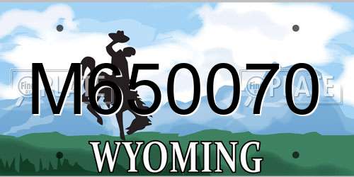 M650070 Wyoming License Plate