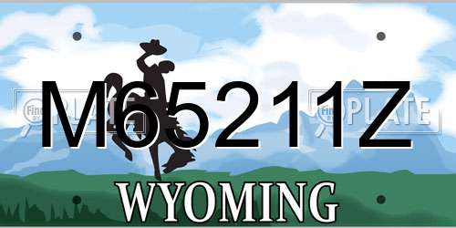 M65211Z Wyoming License Plate