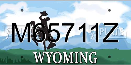 M65711Z Wyoming License Plate