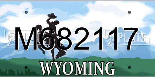 M682117 Wyoming License Plate