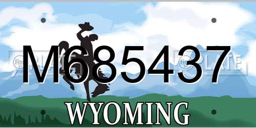 M685437 Wyoming License Plate