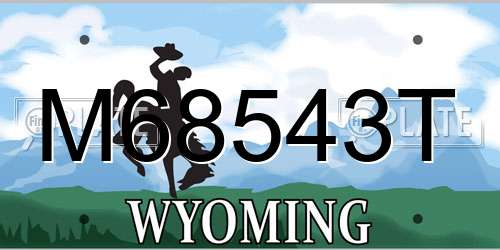 M68543T Wyoming License Plate