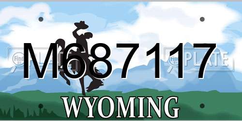 M687117 Wyoming License Plate