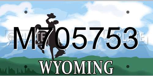 M705753 Wyoming License Plate