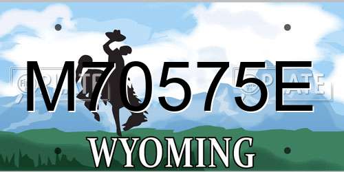 M70575E Wyoming License Plate