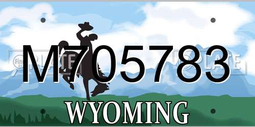 M705783 Wyoming License Plate