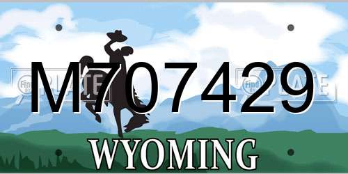M707429 Wyoming License Plate