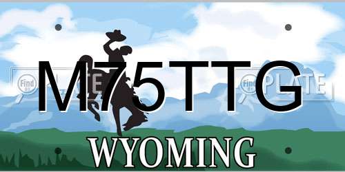 M75TTG Wyoming License Plate