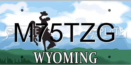 M75TZG Wyoming License Plate