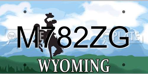 M782ZG Wyoming License Plate