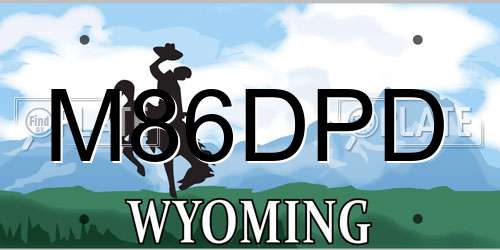M86DPD Wyoming License Plate