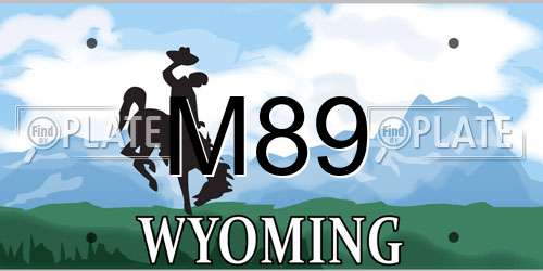 M89 Wyoming License Plate
