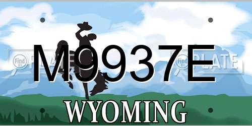 M9937E Wyoming License Plate