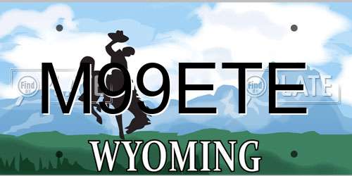 M99ETE Wyoming License Plate