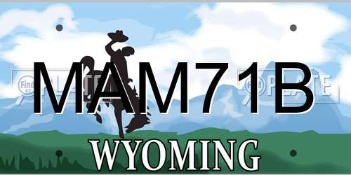 MAM71B Wyoming License Plate