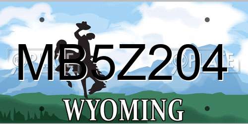 MB5Z204 Wyoming License Plate