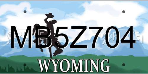 MB5Z704 Wyoming License Plate