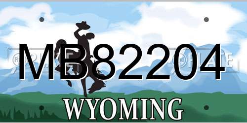 MB82204 Wyoming License Plate