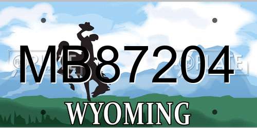 MB87204 Wyoming License Plate