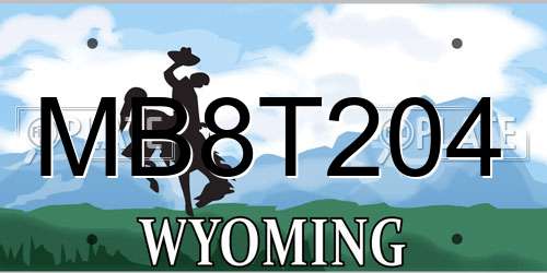 MB8T204 Wyoming License Plate