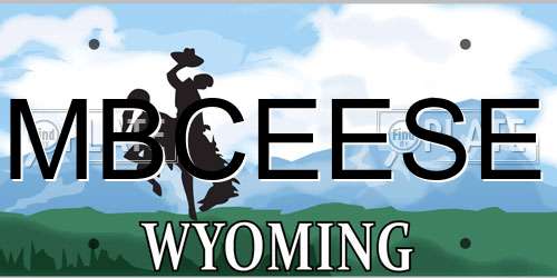 MBCEESE Wyoming License Plate