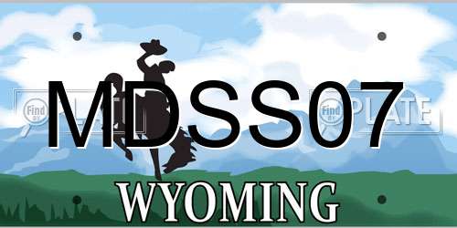 MDSS07 Wyoming License Plate