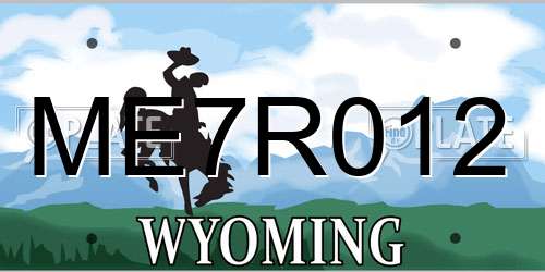 ME7R012 Wyoming License Plate