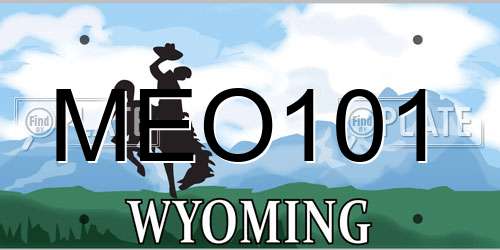 MEO101 Wyoming License Plate
