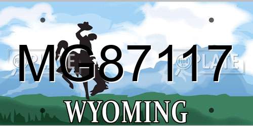 MG87117 Wyoming License Plate