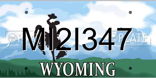 MI2I347 Wyoming License Plate