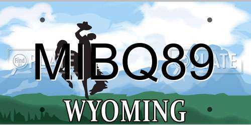 MIBQ89 Wyoming License Plate