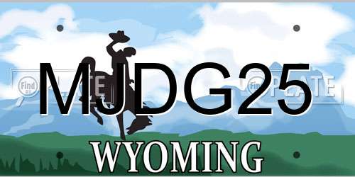 MJDG25 Wyoming License Plate