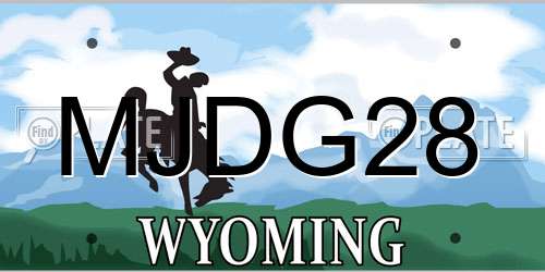 MJDG28 Wyoming License Plate