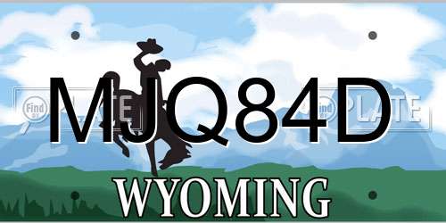 MJQ84D Wyoming License Plate