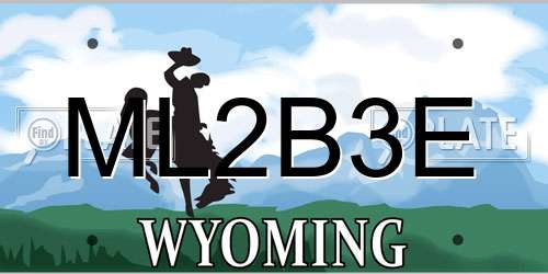 ML2B3E Wyoming License Plate